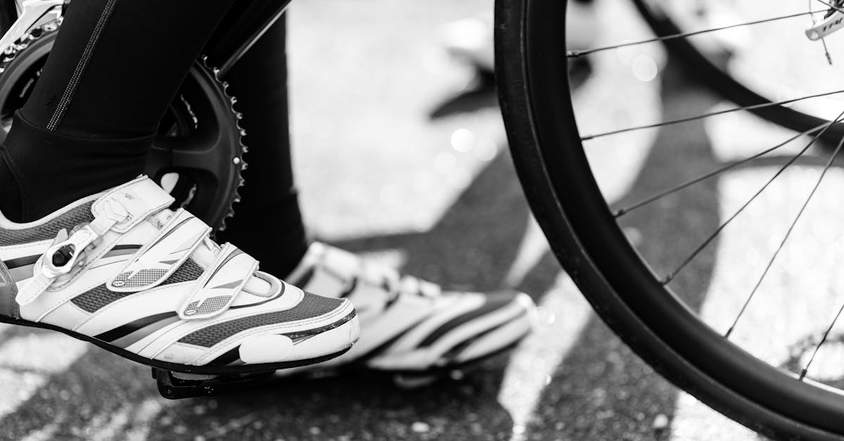 descubre la mejor selección de zapatillas de ciclismo para maximizar tu rendimiento en cada recorrido. confort, estilo y tecnología avanzada para ciclistas de todos los niveles.