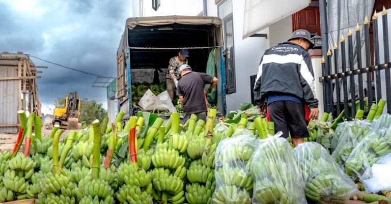 optimiza tu rendimiento en ciclismo con nuestra guía sobre nutrición para ciclistas. descubre consejos esenciales, recetas saludables y estrategias para mantenerte energizado en cada pedalada.