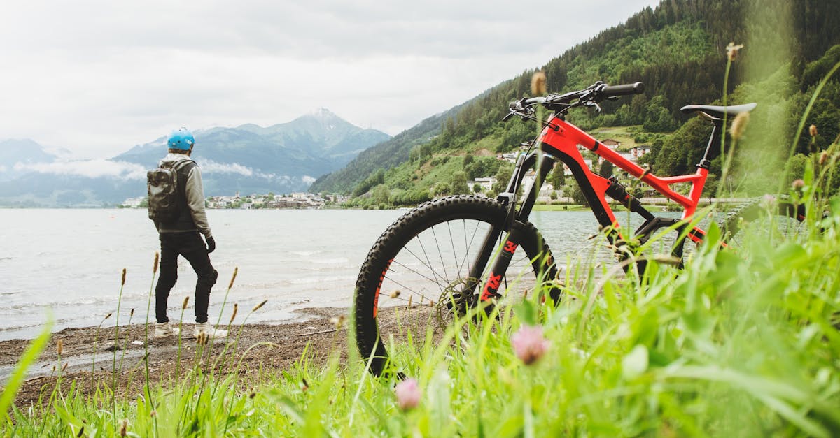 descubre el emocionante mundo del ciclismo. desde rutas desafiantes hasta consejos para principiantes, sumérgete en la pasión de pedalear y explora nuevas aventuras sobre dos ruedas.