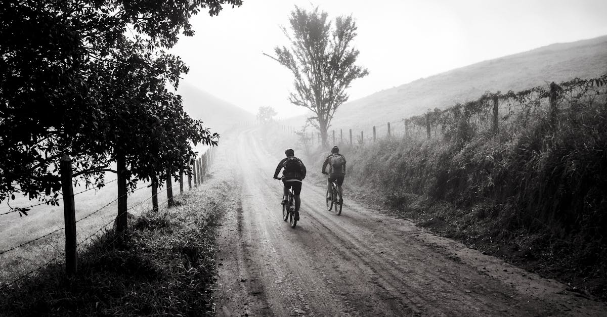 descubre la pasión del ciclismo: una actividad que combina aventura, ejercicio y conexión con la naturaleza. aprende sobre técnicas, rutas emocionantes y la mejor equipación para disfrutar al máximo sobre dos ruedas.