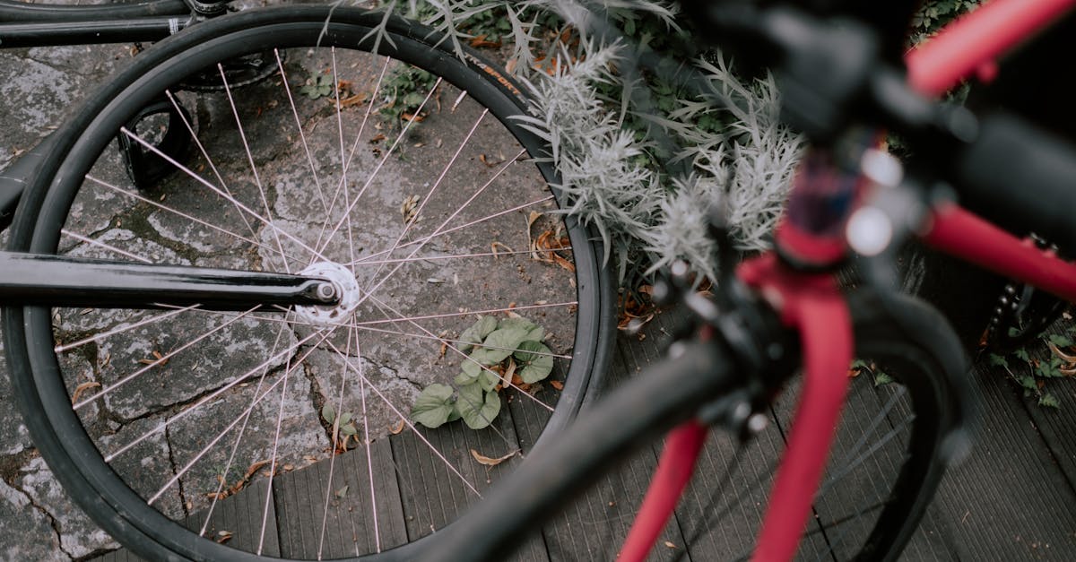 descubre la mejor selección de equipo de ciclismo para todos los niveles. desde bicicletas de montaña hasta accesorios esenciales, encuentra todo lo que necesitas para disfrutar de tus rutas en bicicleta.