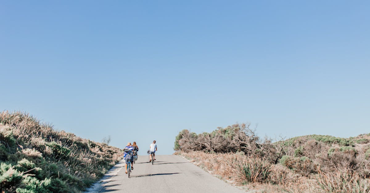 descubre las mejores rutas para ciclismo, desde caminos escénicos hasta desafiantes pendientes, ideales para ciclistas de todos los niveles. ¡prepárate para explorar la belleza natural sobre dos ruedas!