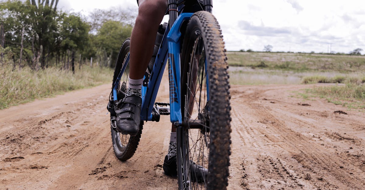 descubre nuestra amplia selección de zapatos de ciclismo, diseñados para ofrecer comodidad, rendimiento y estilo en cada pedaleo. encuentra el par perfecto para todas tus aventuras en bicicleta.