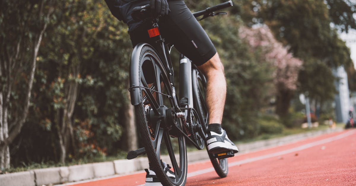 descubre nuestras zapatillas de ciclismo, diseñadas para ofrecer comodidad y rendimiento en cada ruta. mejora tu experiencia en la bicicleta con la mejor selección de calzado especializado.