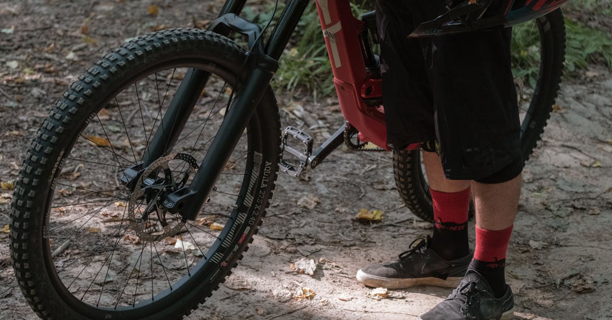 descubre las mejores zapatillas de ciclismo diseñadas para ofrecer confort y rendimiento en cada pedaleada. encuentra la opción perfecta para tus rutas y mejora tu experiencia en la bicicleta.