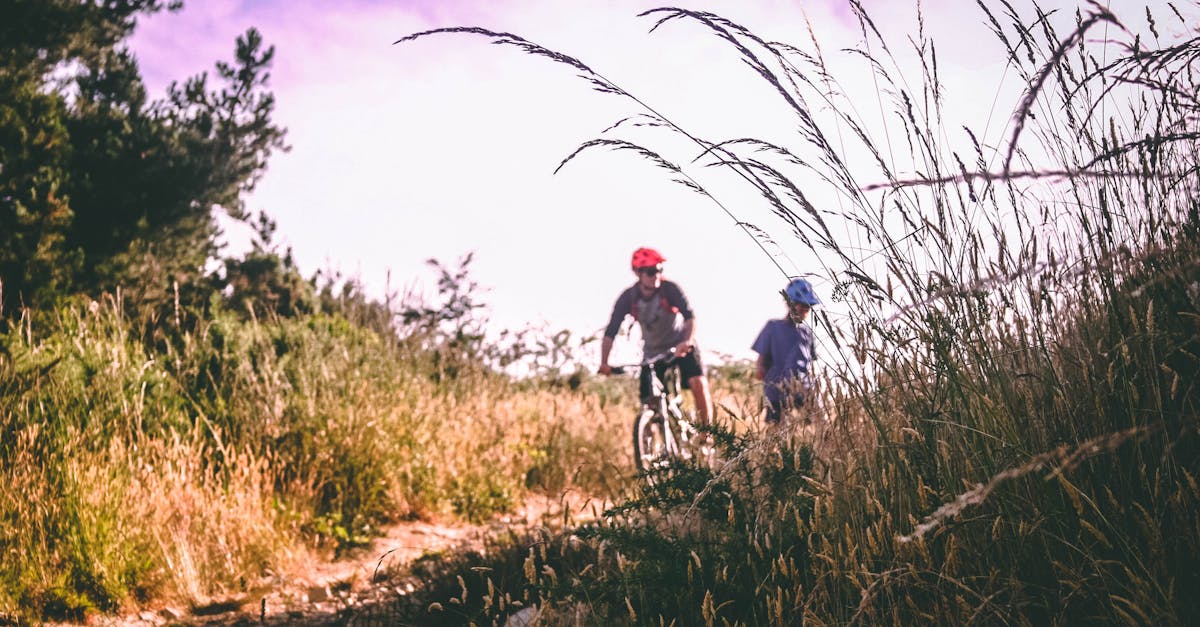 descubre la emoción del ciclismo de montaña. explora senderos impresionantes, desafía tus límites y conecta con la naturaleza. vive aventuras inolvidables sobre dos ruedas.